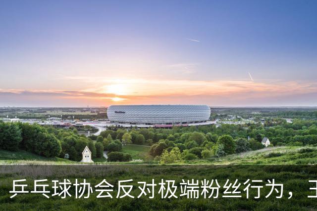 乒乓球协会反对极端粉丝行为，王楚钦遭网暴引发质疑